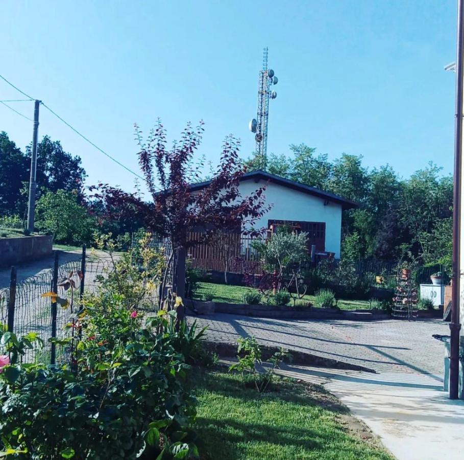 Anticacascina Bed & Breakfast Quarto  Luaran gambar