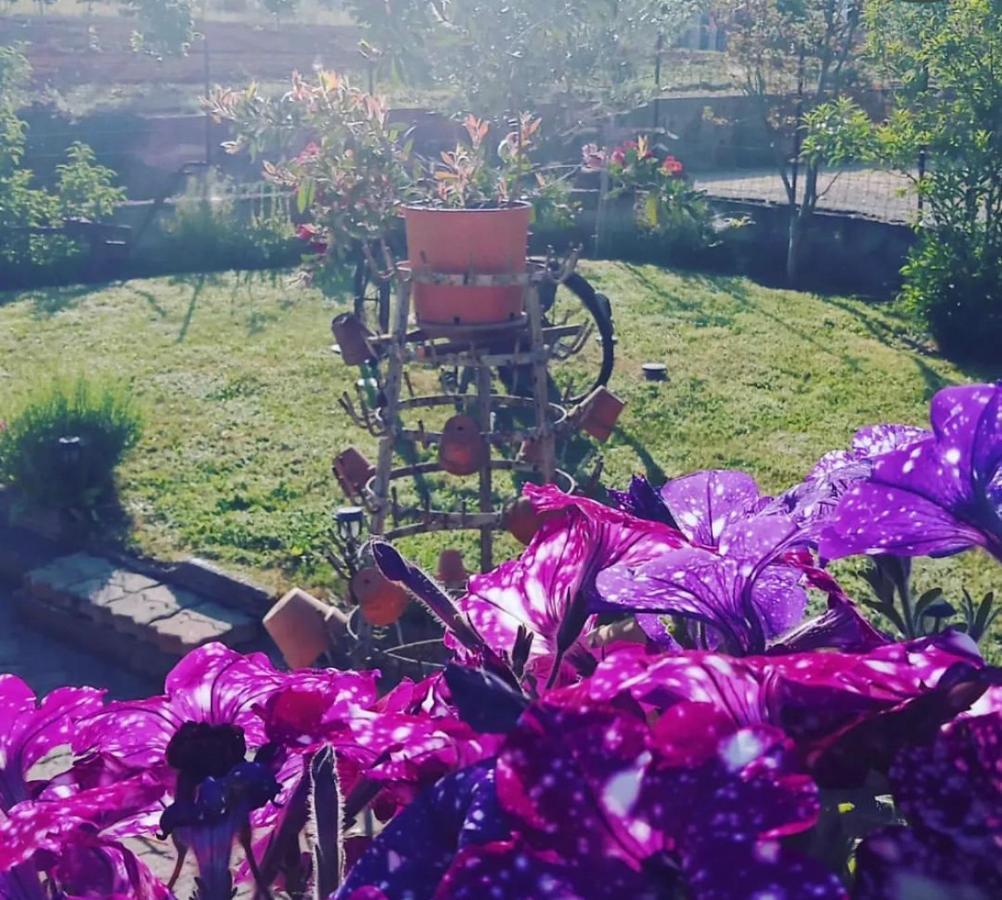 Anticacascina Bed & Breakfast Quarto  Luaran gambar